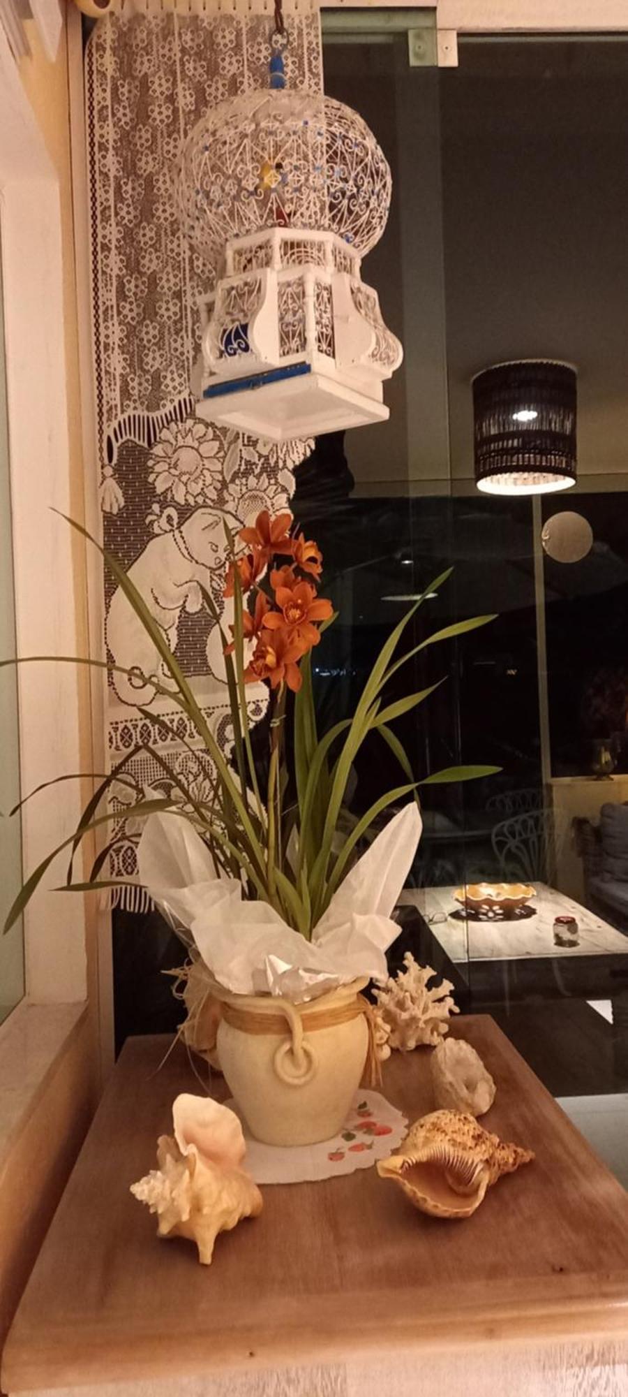 La Tropezina Villa Armacao dos Buzios Phòng bức ảnh